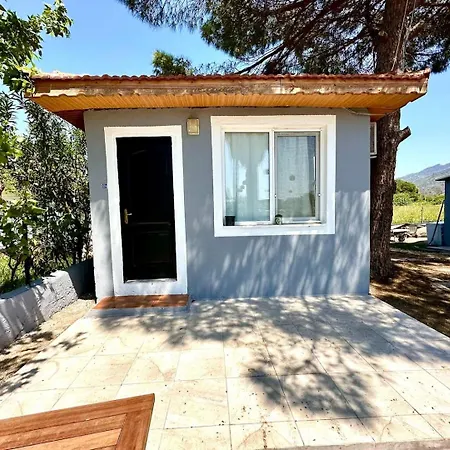 Apartament Castabus Homes